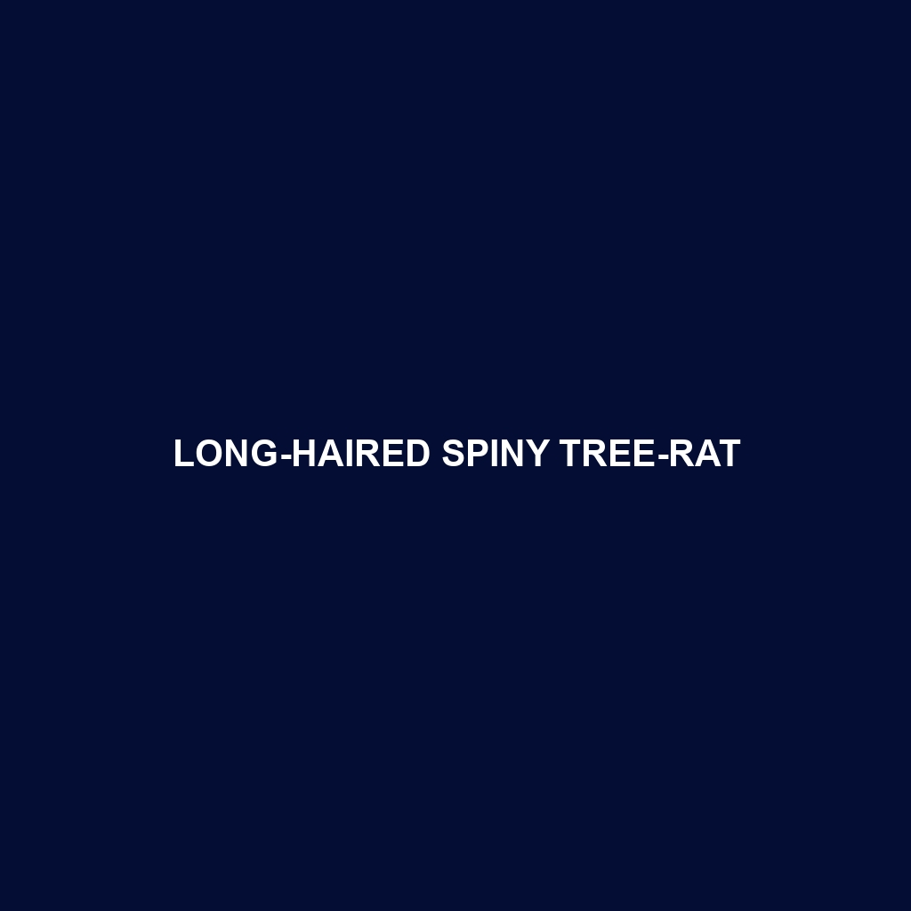 Long-haired Spiny Tree-rat