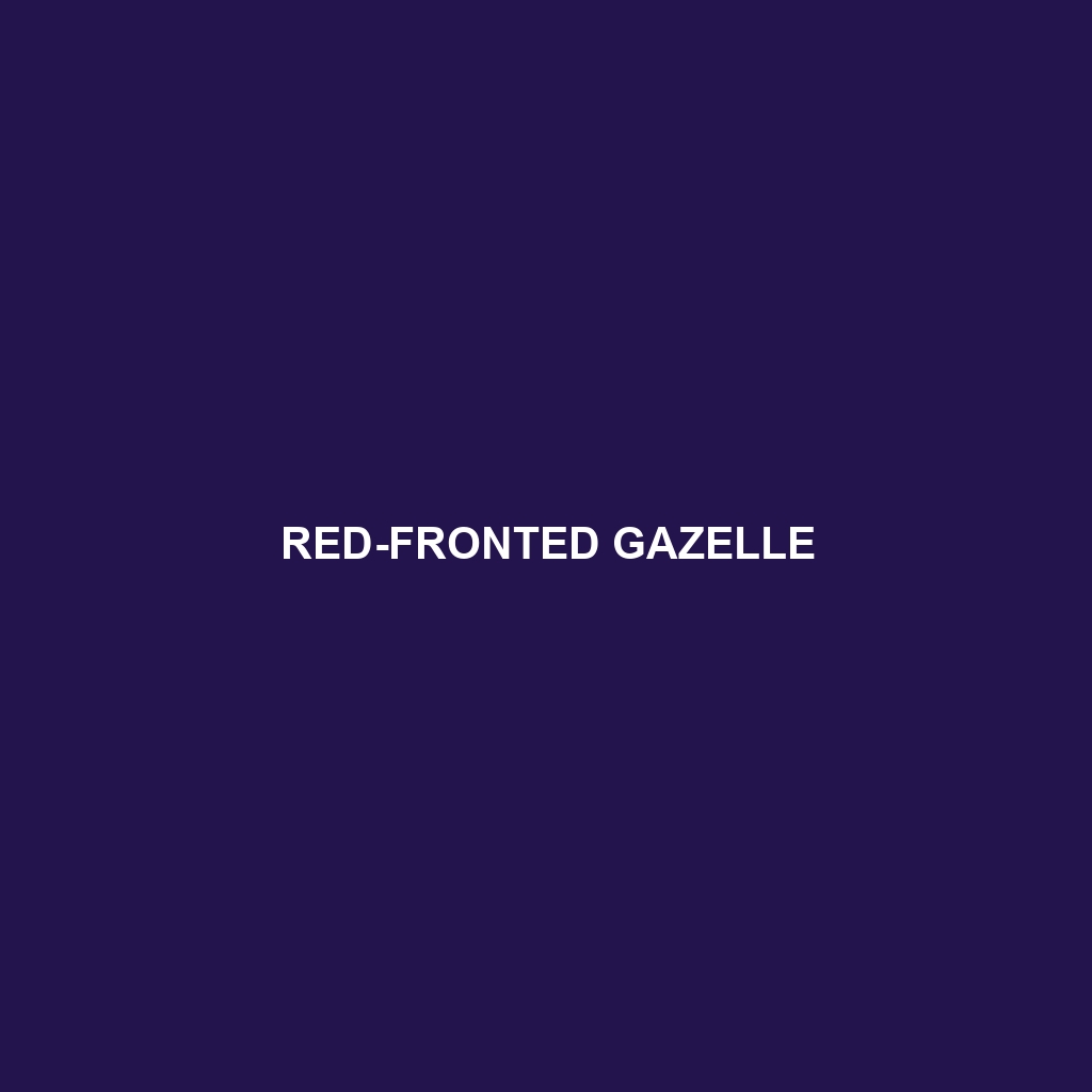 Red-fronted Gazelle