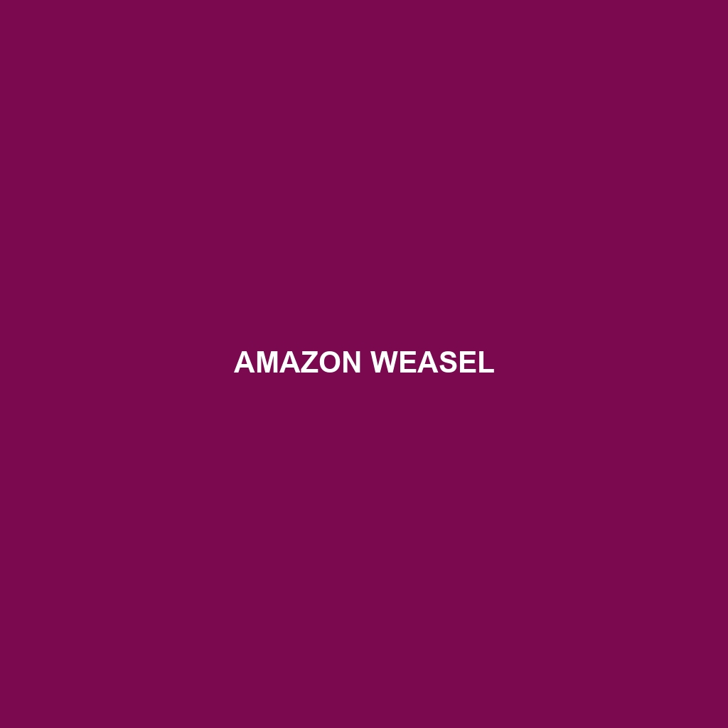 Amazon Weasel