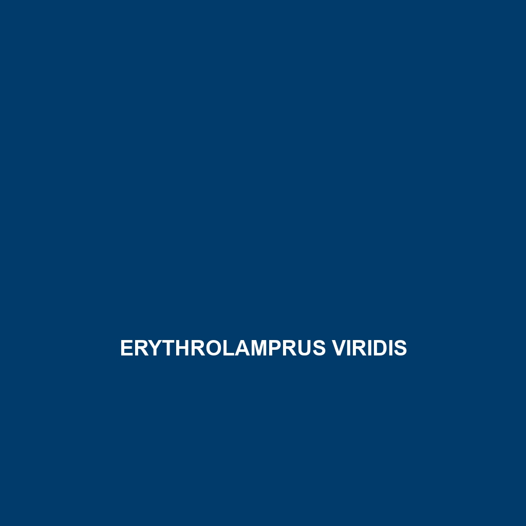 Erythrolamprus viridis