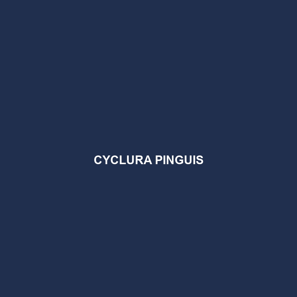 Cyclura pinguis