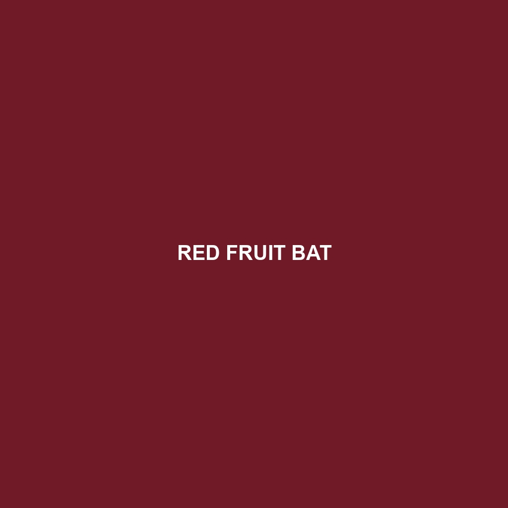 Red Fruit Bat