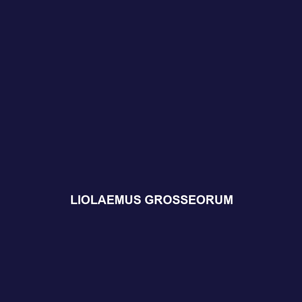 Liolaemus grosseorum