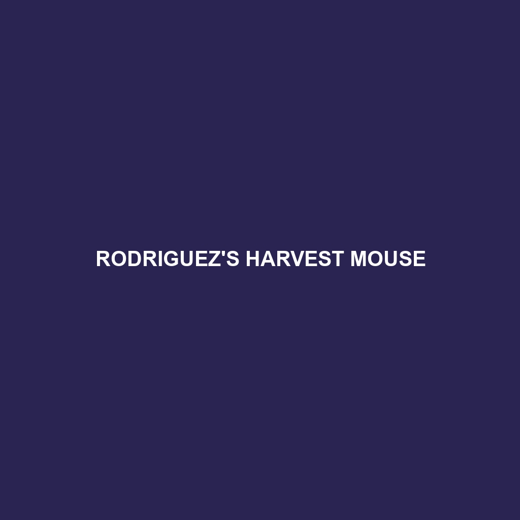 Rodriguez's Harvest Mouse