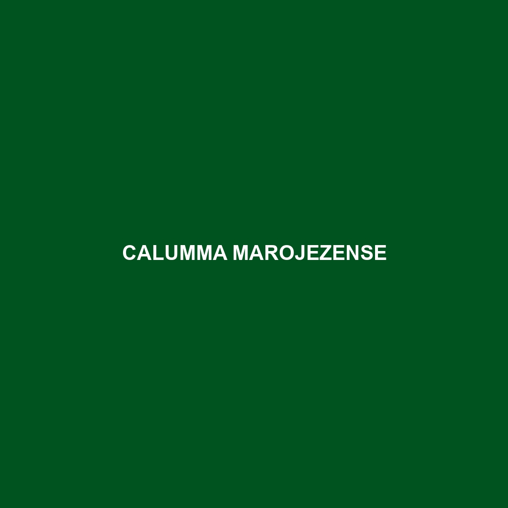 Calumma marojezense