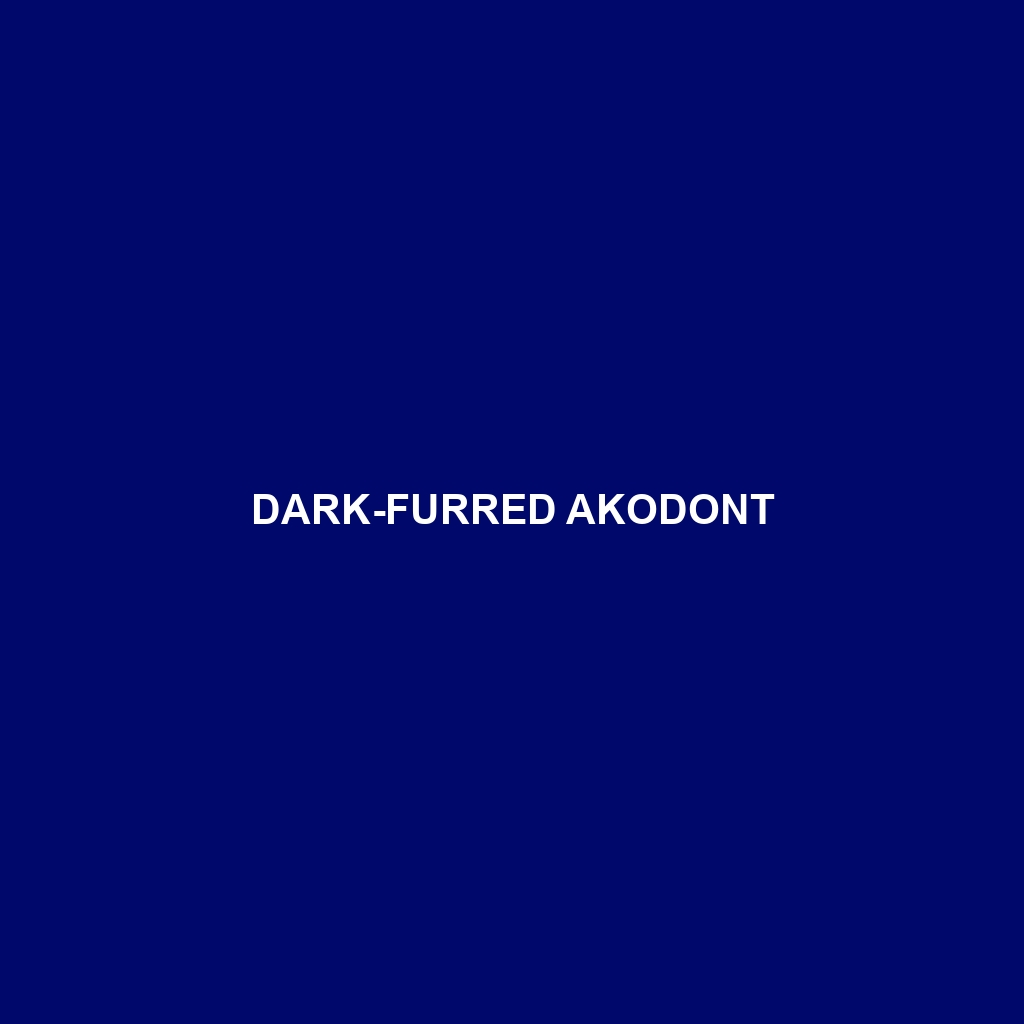 Dark-furred Akodont