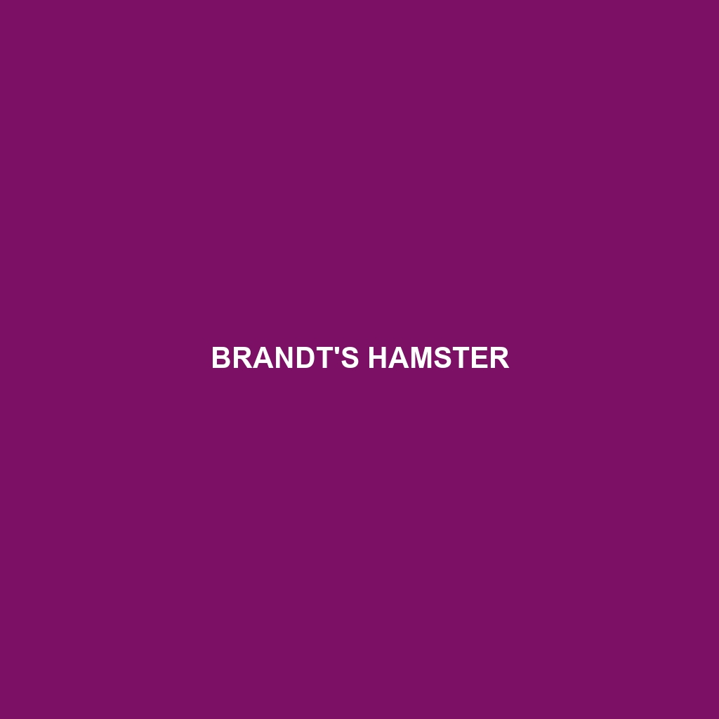 Brandt's Hamster