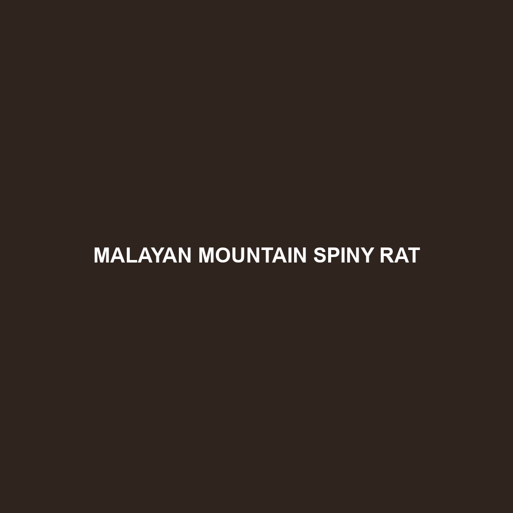 Malayan Mountain Spiny Rat