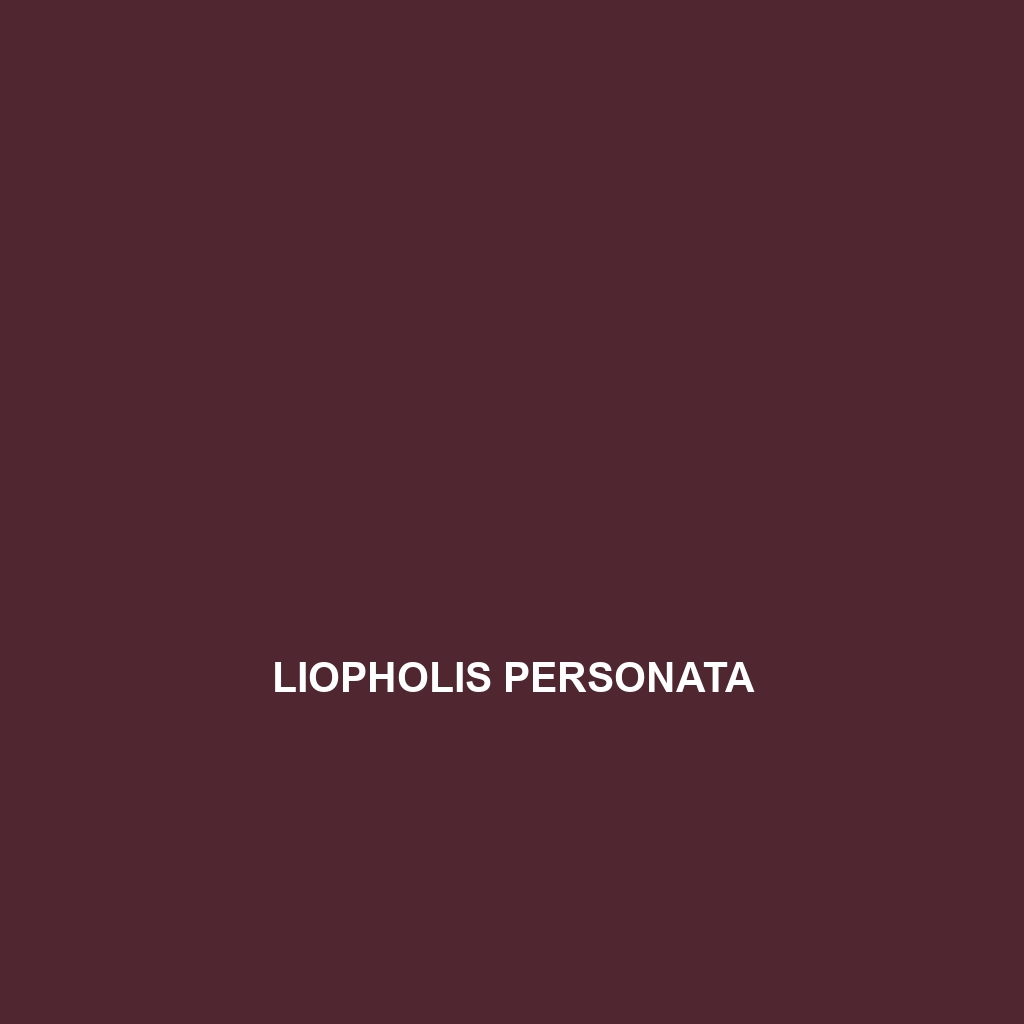 Liopholis personata