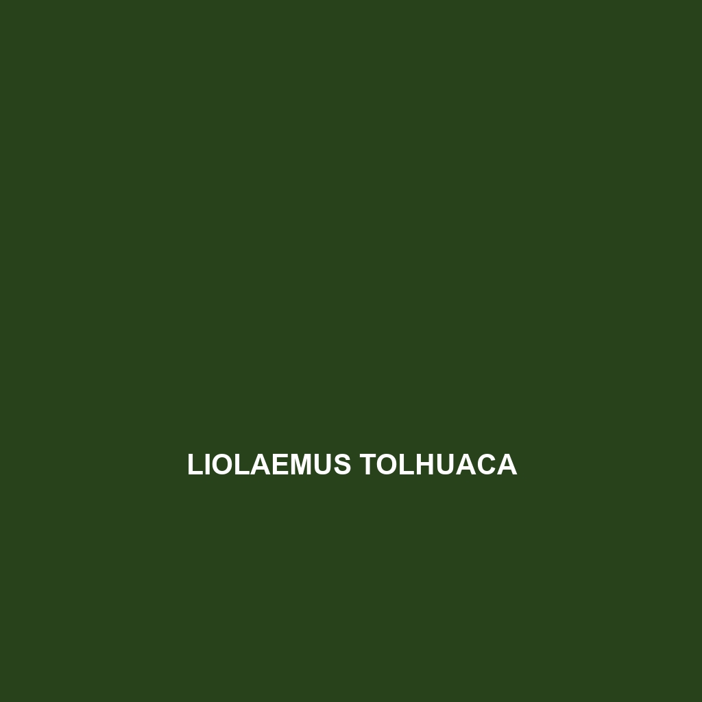 Liolaemus tolhuaca