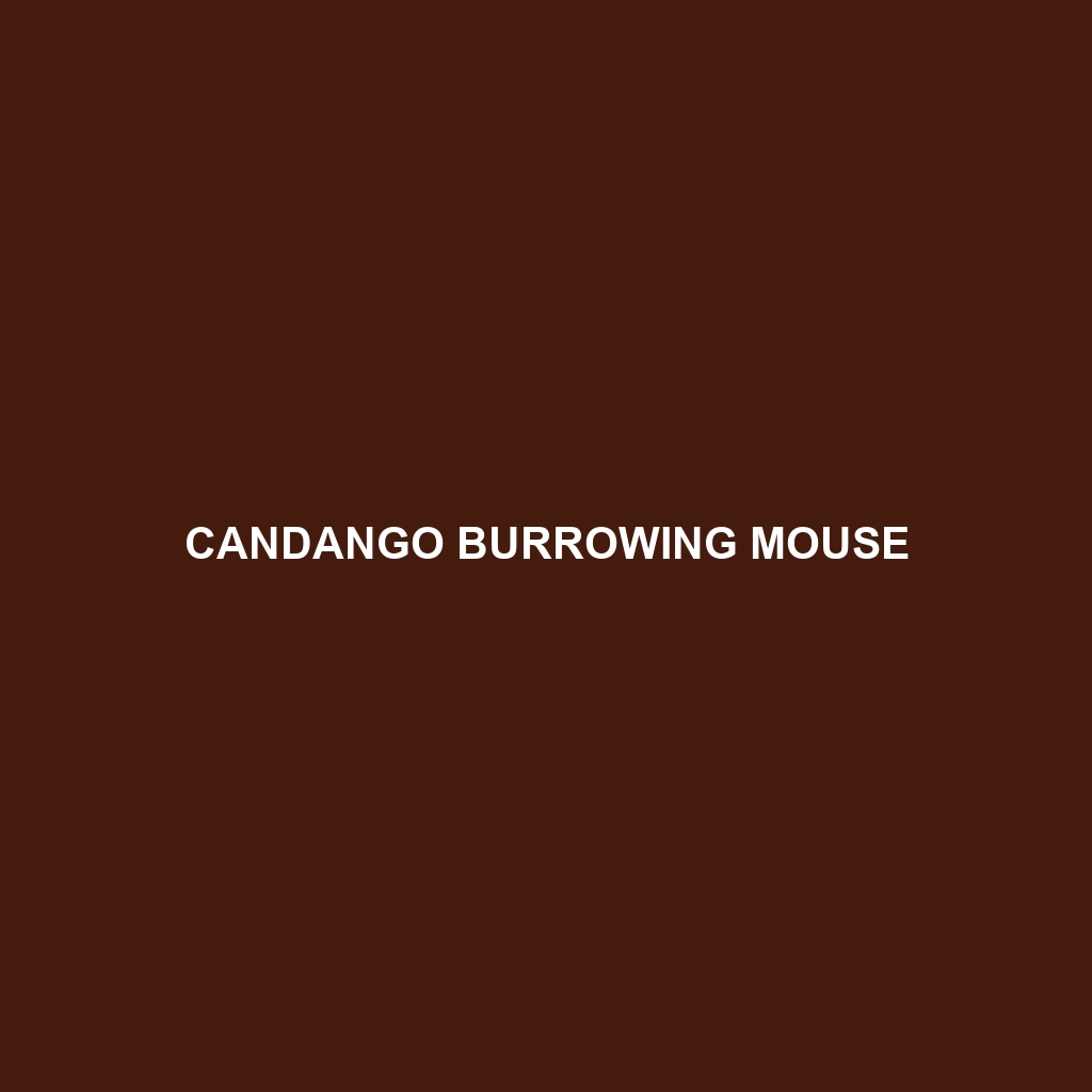 Candango Burrowing Mouse