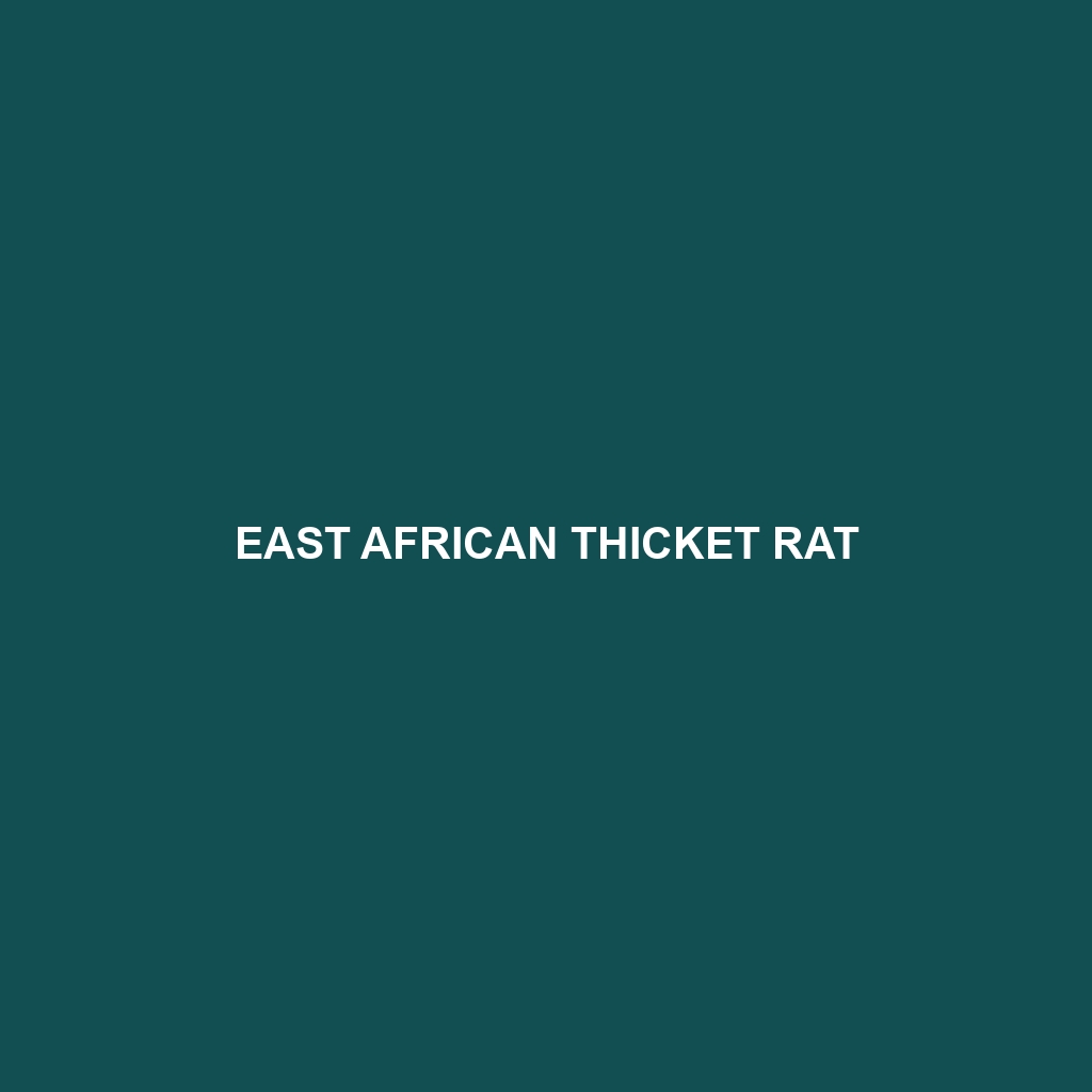 East African Thicket Rat