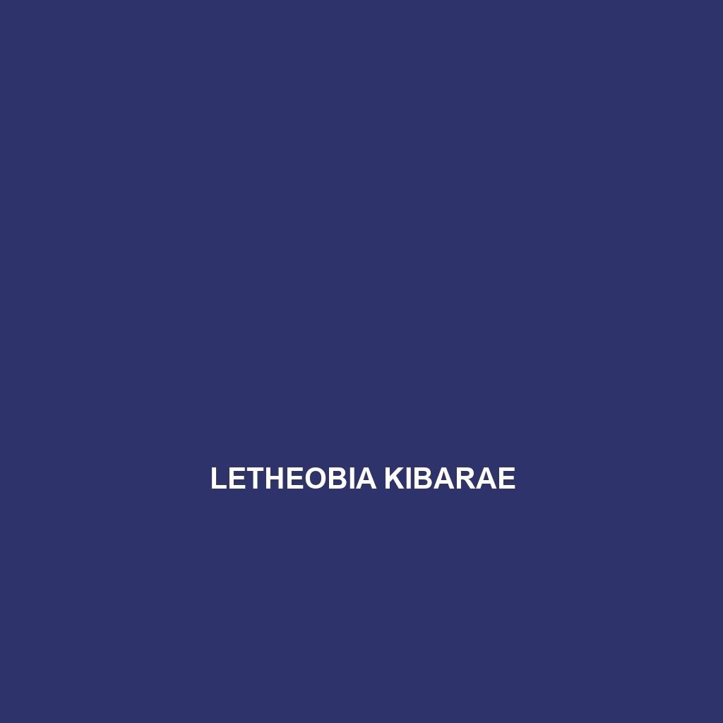 Letheobia kibarae