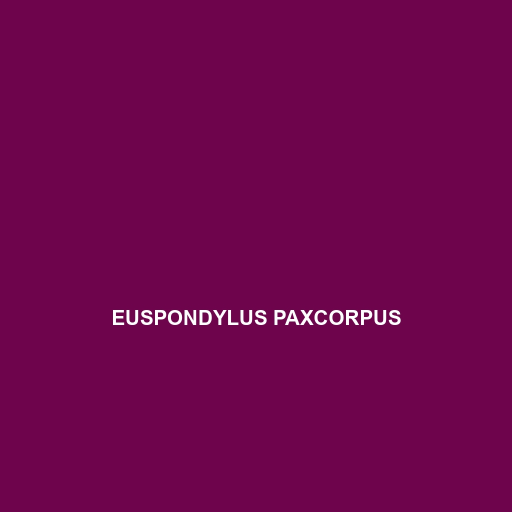 Euspondylus paxcorpus