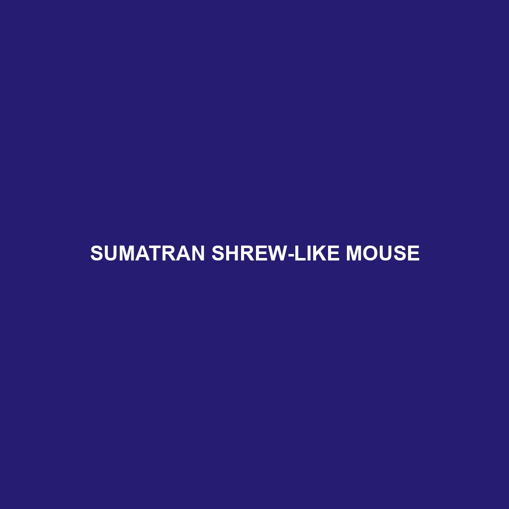 Sumatran Shrew-like Mouse