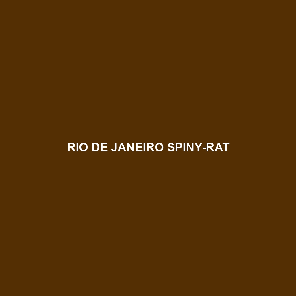 Rio de Janeiro Spiny-rat