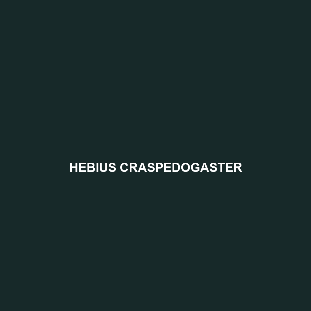 Hebius craspedogaster