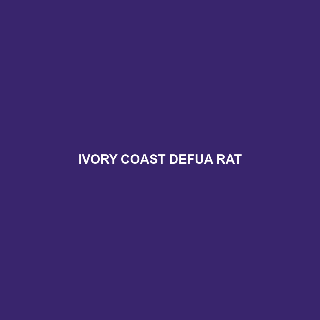 Ivory Coast Defua Rat