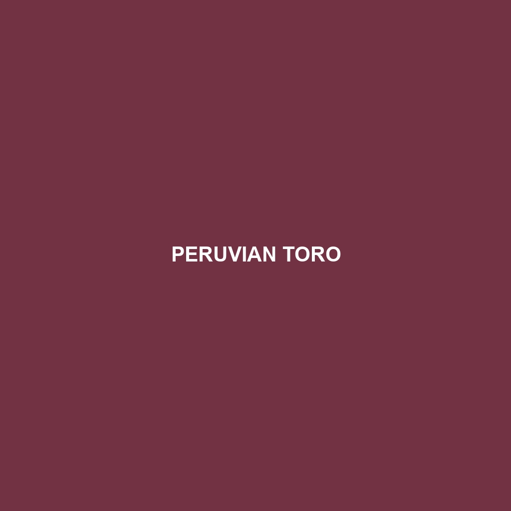 Peruvian Toro