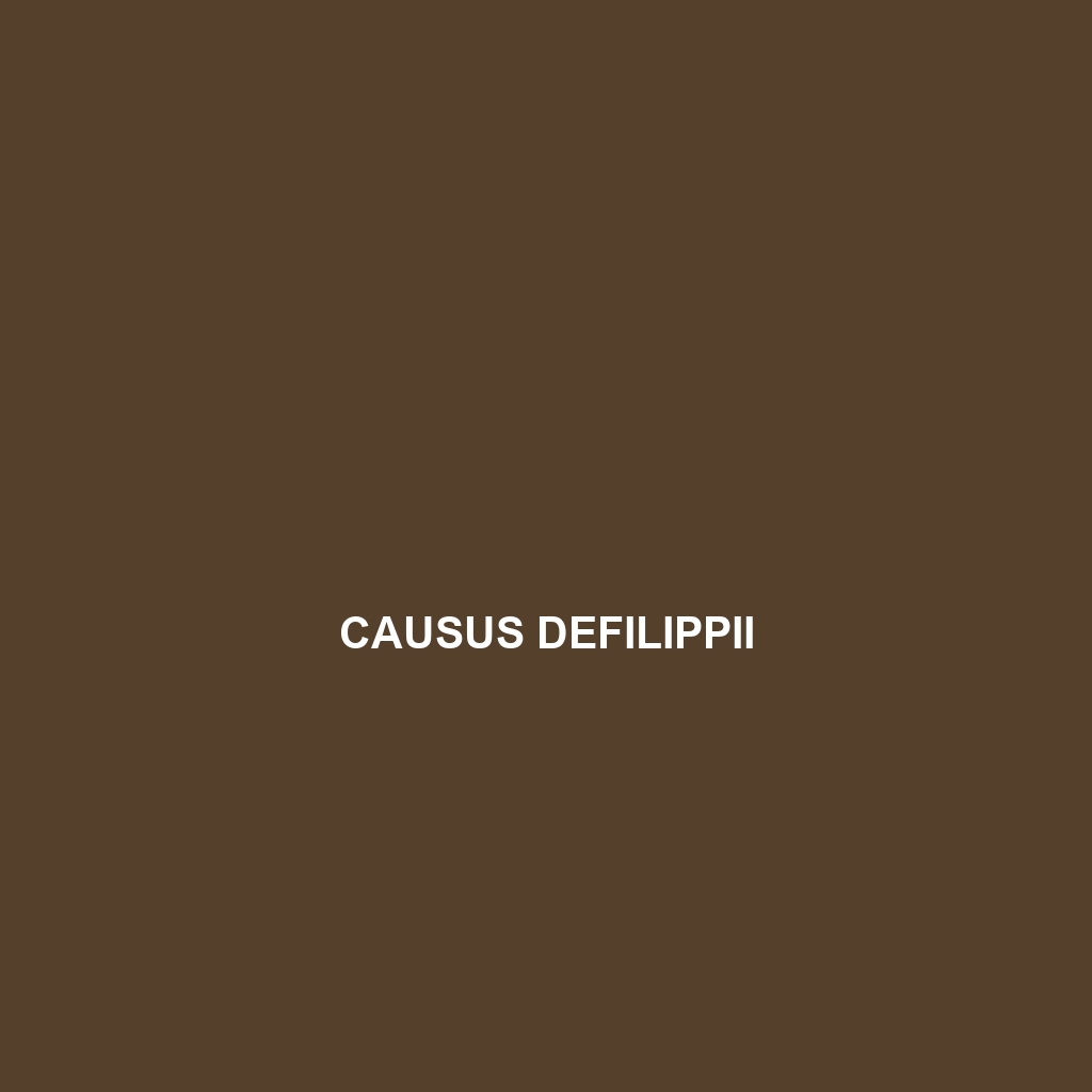 Causus defilippii