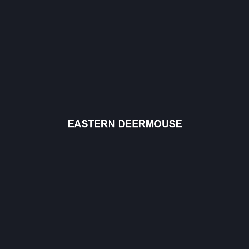 Eastern Deermouse