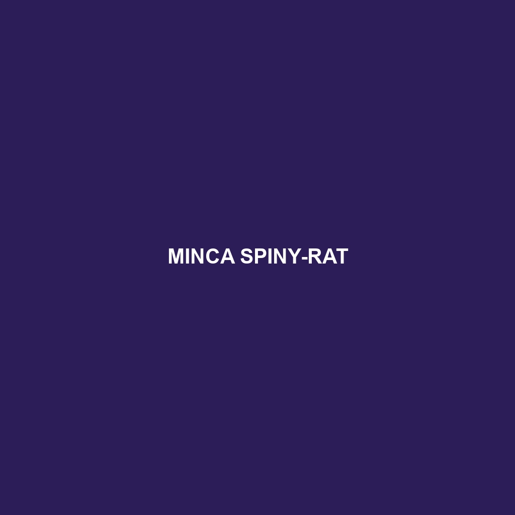 Minca Spiny-rat