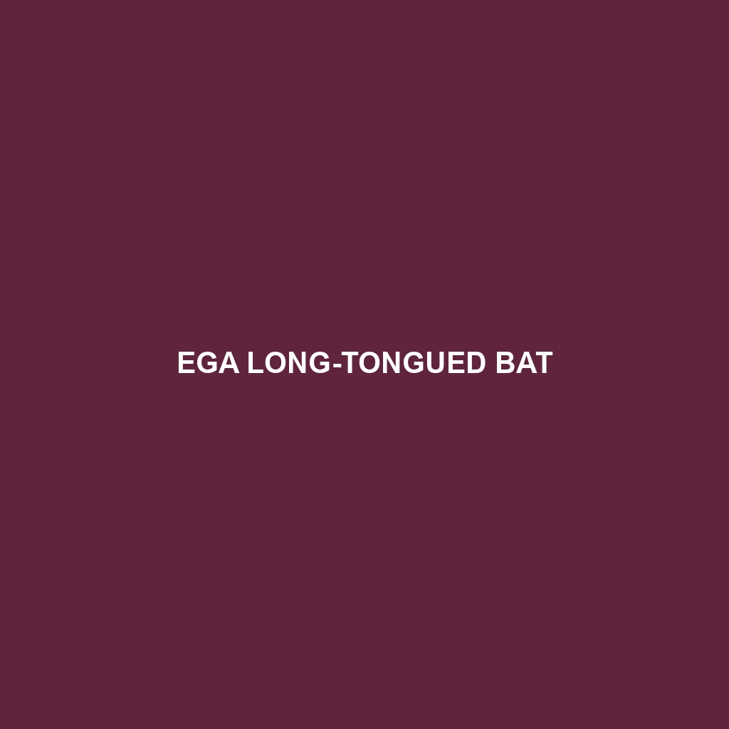 Ega Long-tongued Bat