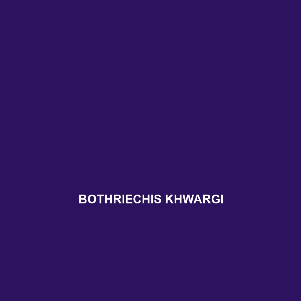 Bothriechis khwargi