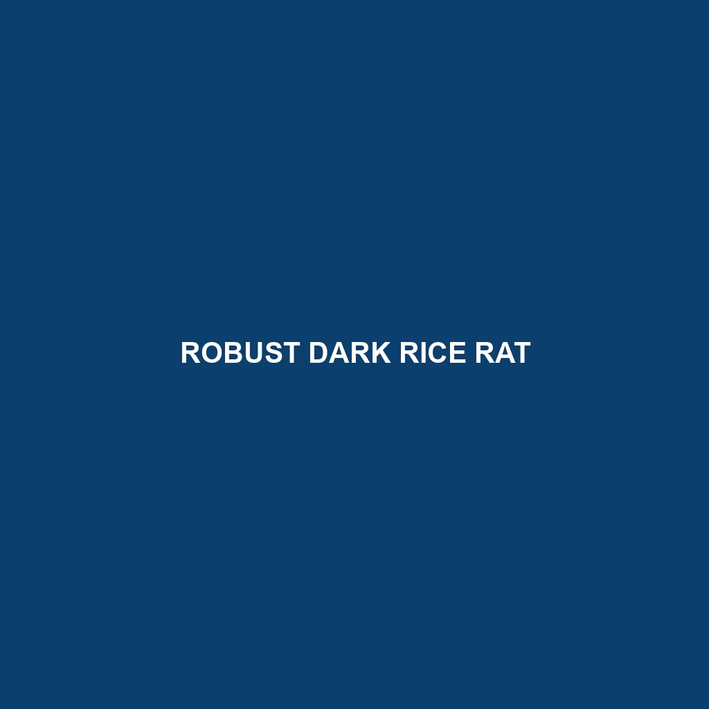 Robust Dark Rice Rat