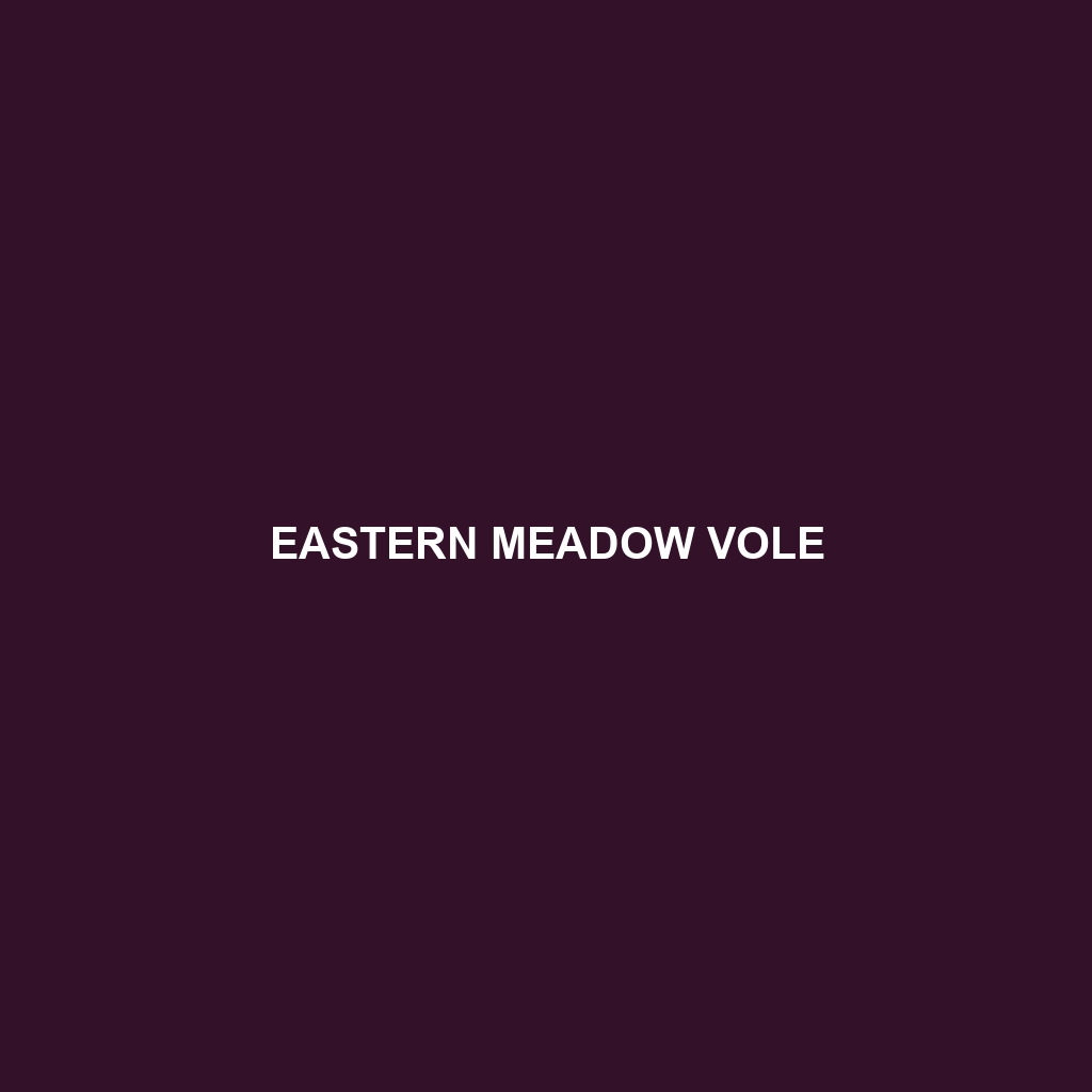 Eastern Meadow Vole