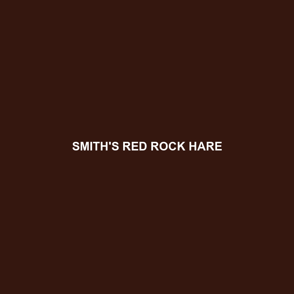 Smith's Red Rock Hare