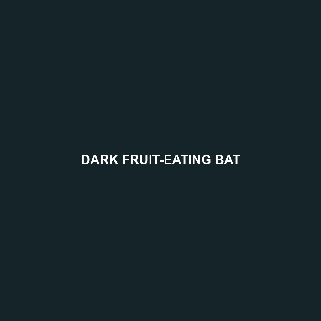 Dark Fruit-eating Bat