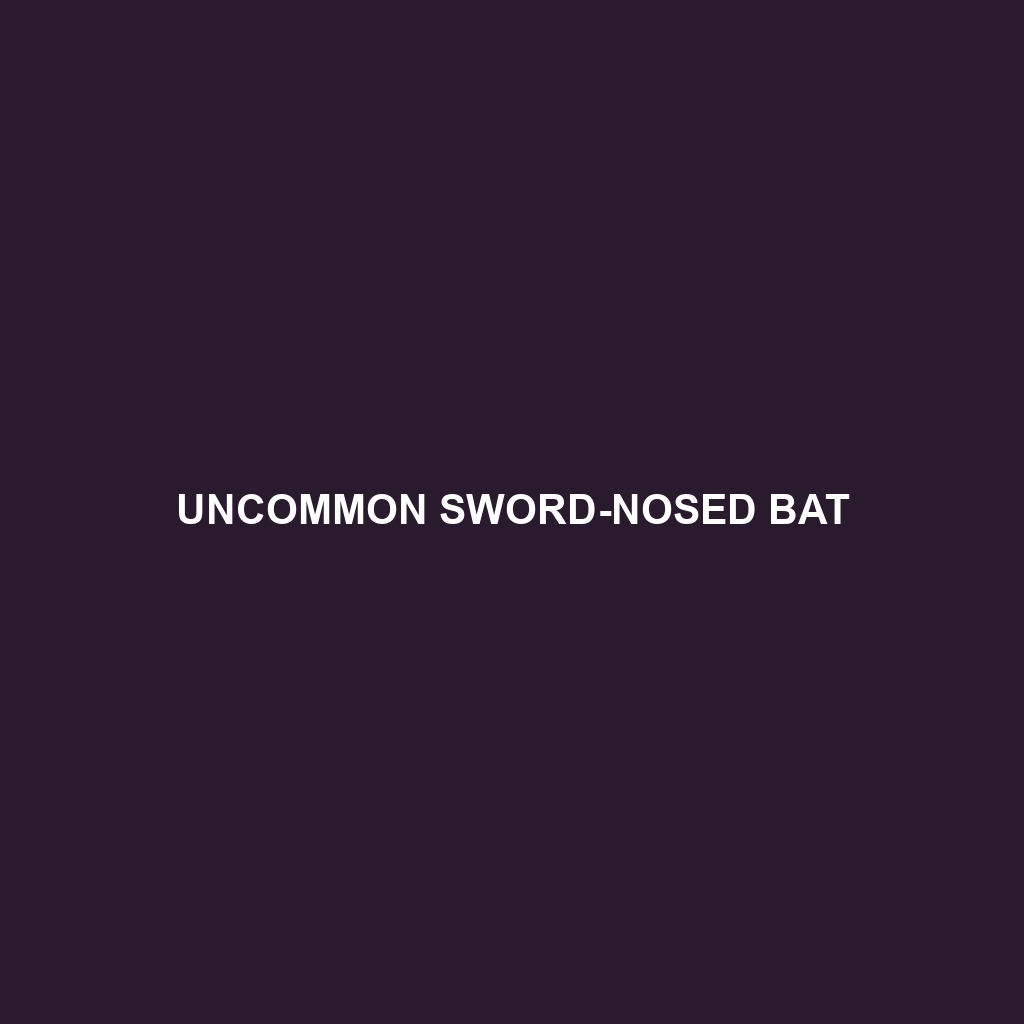 Uncommon Sword-nosed Bat