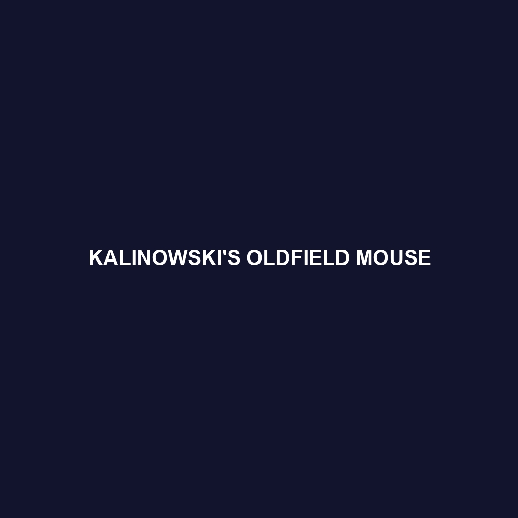 Kalinowski's Oldfield Mouse