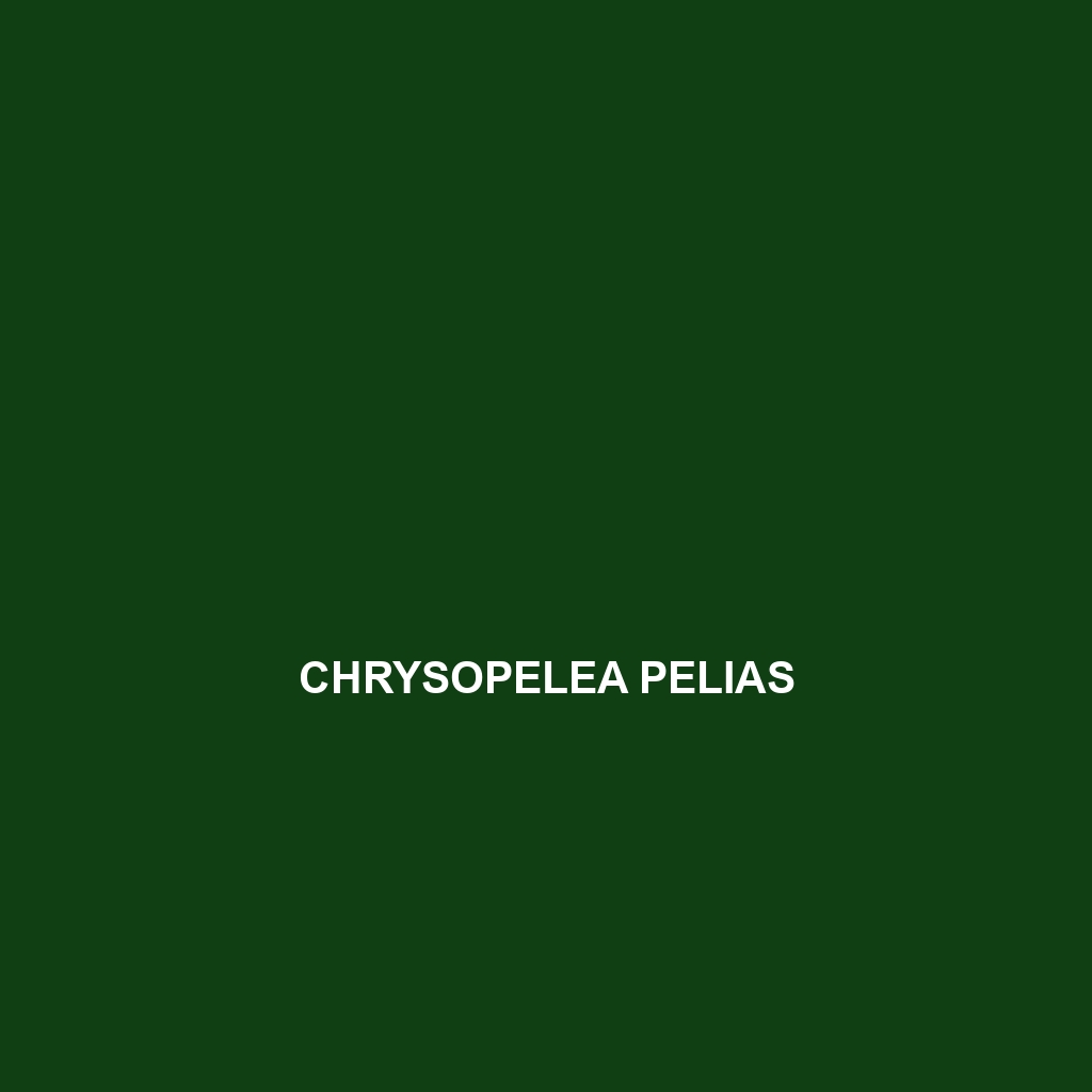 Chrysopelea pelias