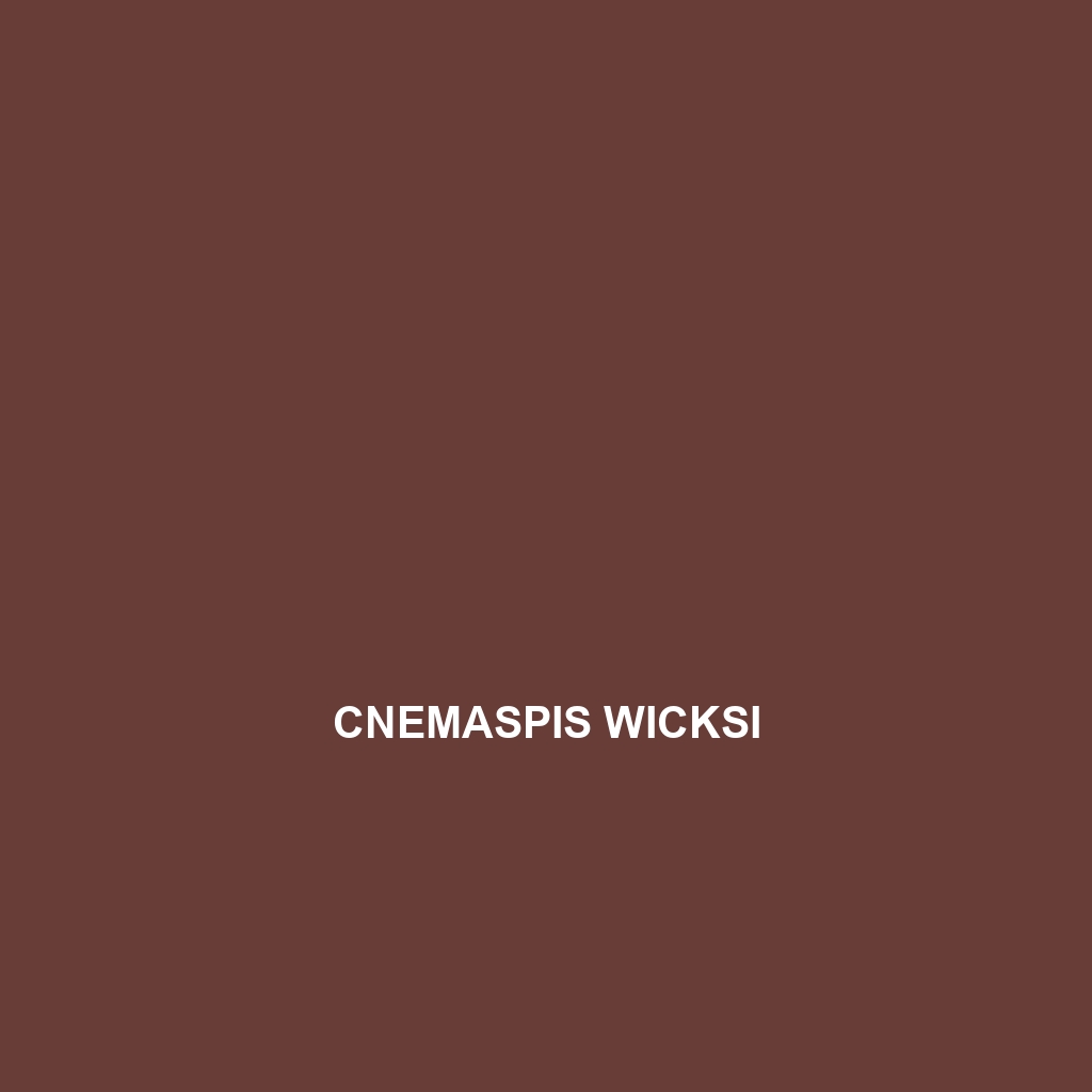 Cnemaspis wicksi