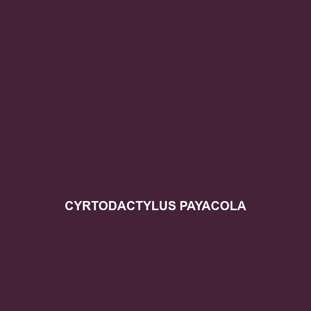 Cyrtodactylus payacola