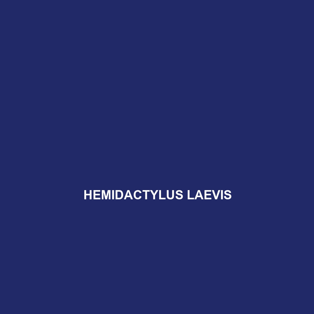 Hemidactylus laevis