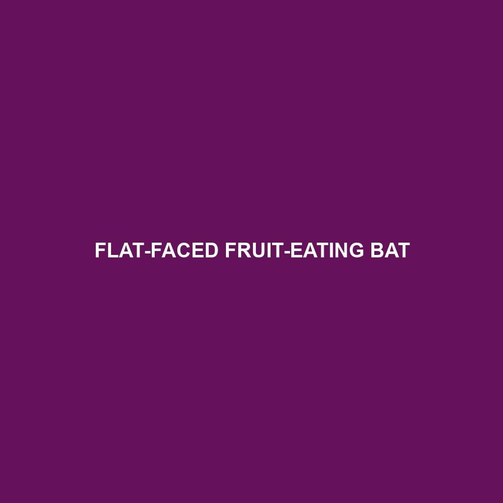 Flat-faced Fruit-eating Bat