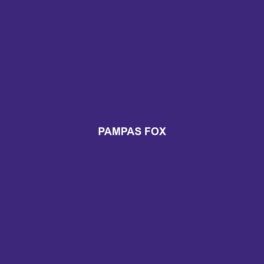 Pampas Fox