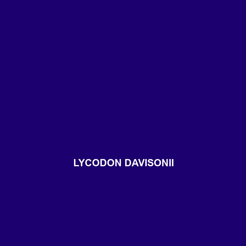 Lycodon davisonii