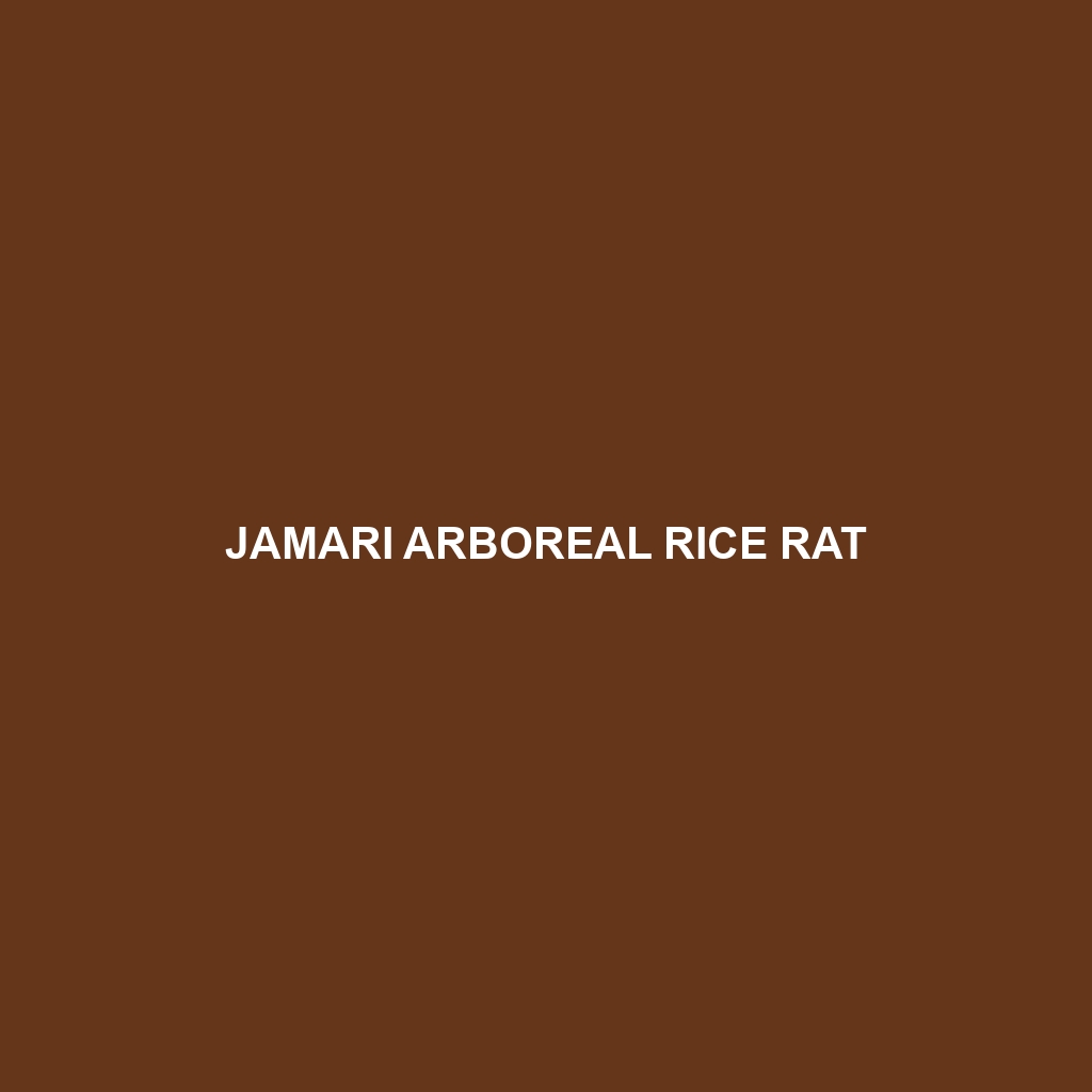 Jamari Arboreal Rice Rat