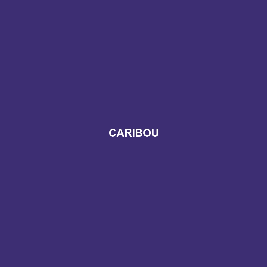 Caribou