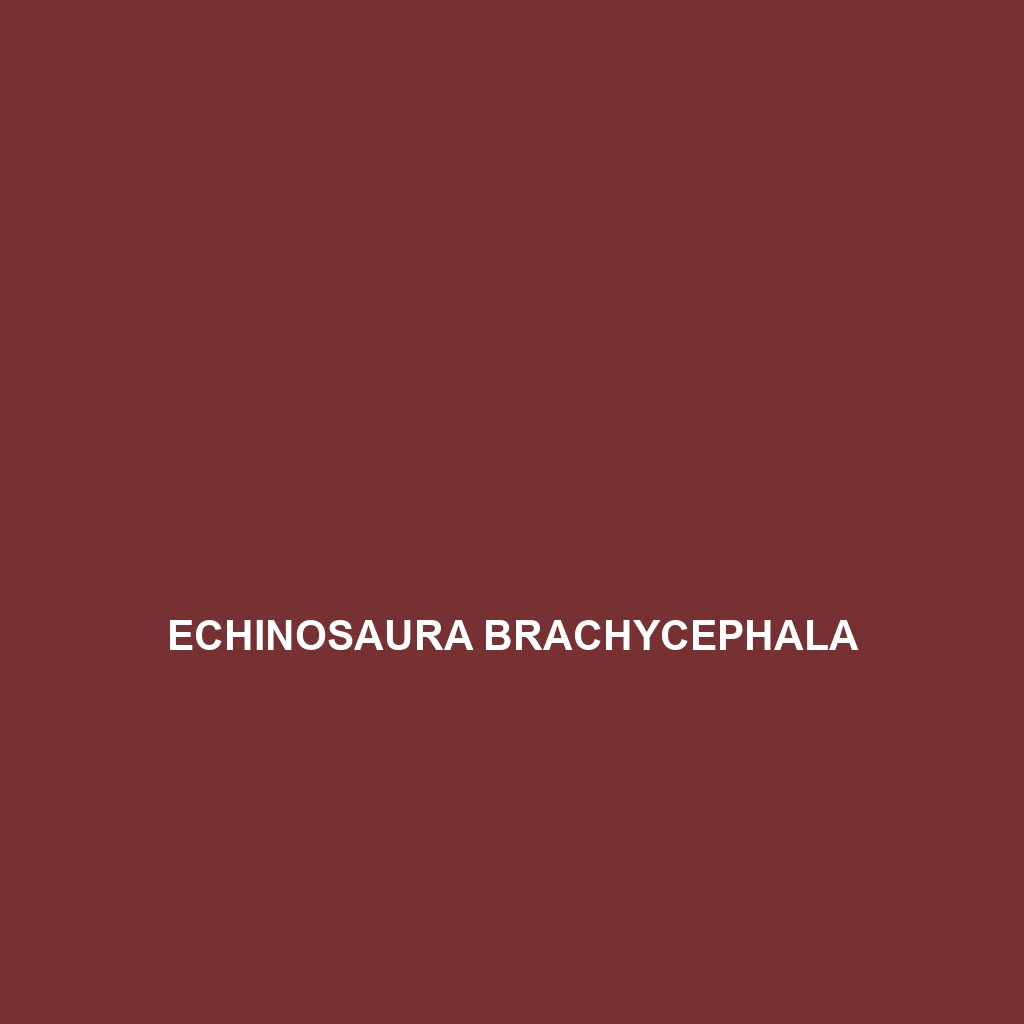 Echinosaura brachycephala