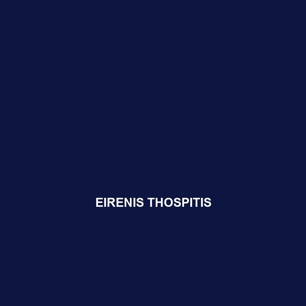 Eirenis thospitis