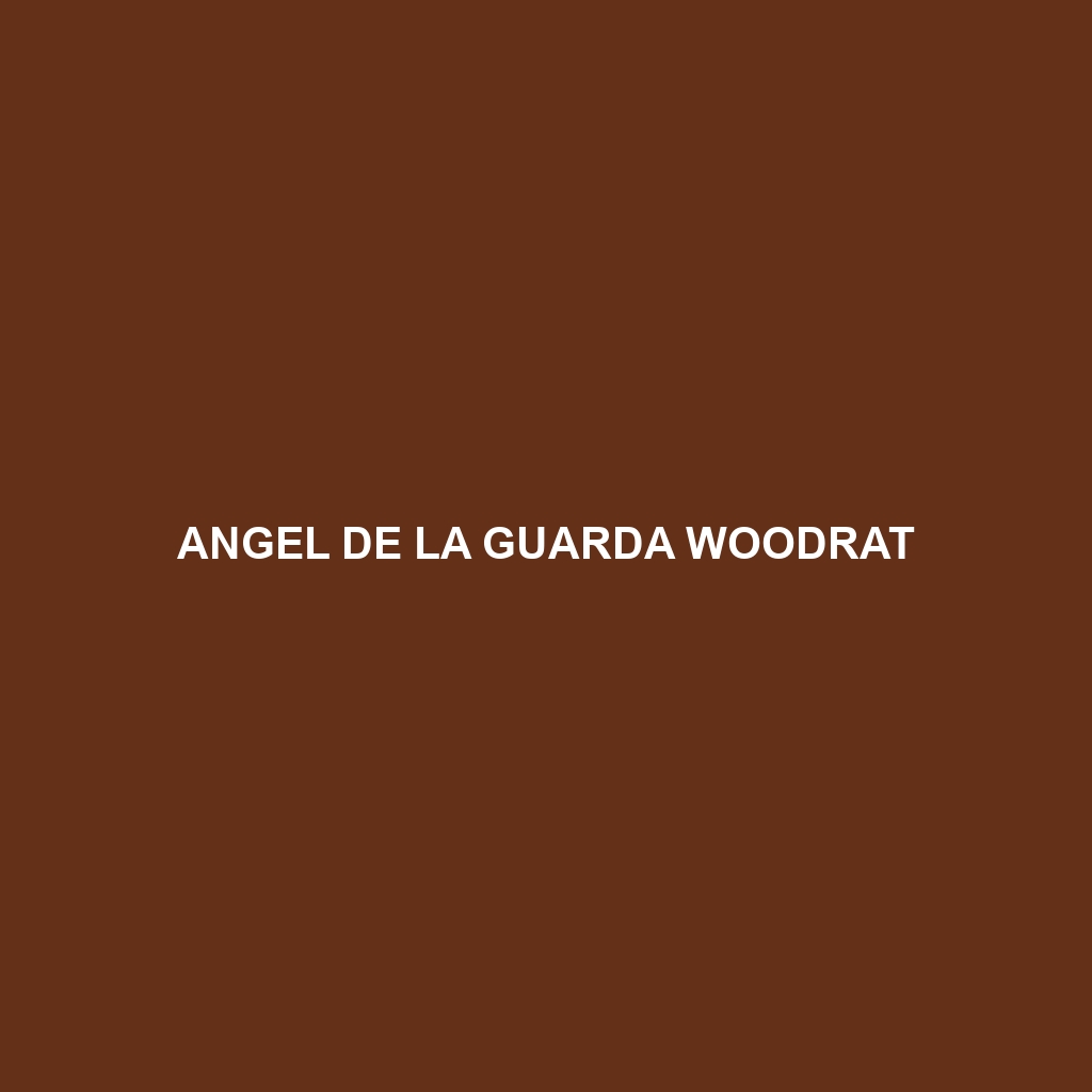 Angel de la Guarda Woodrat