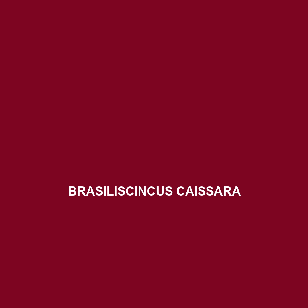 Brasiliscincus caissara