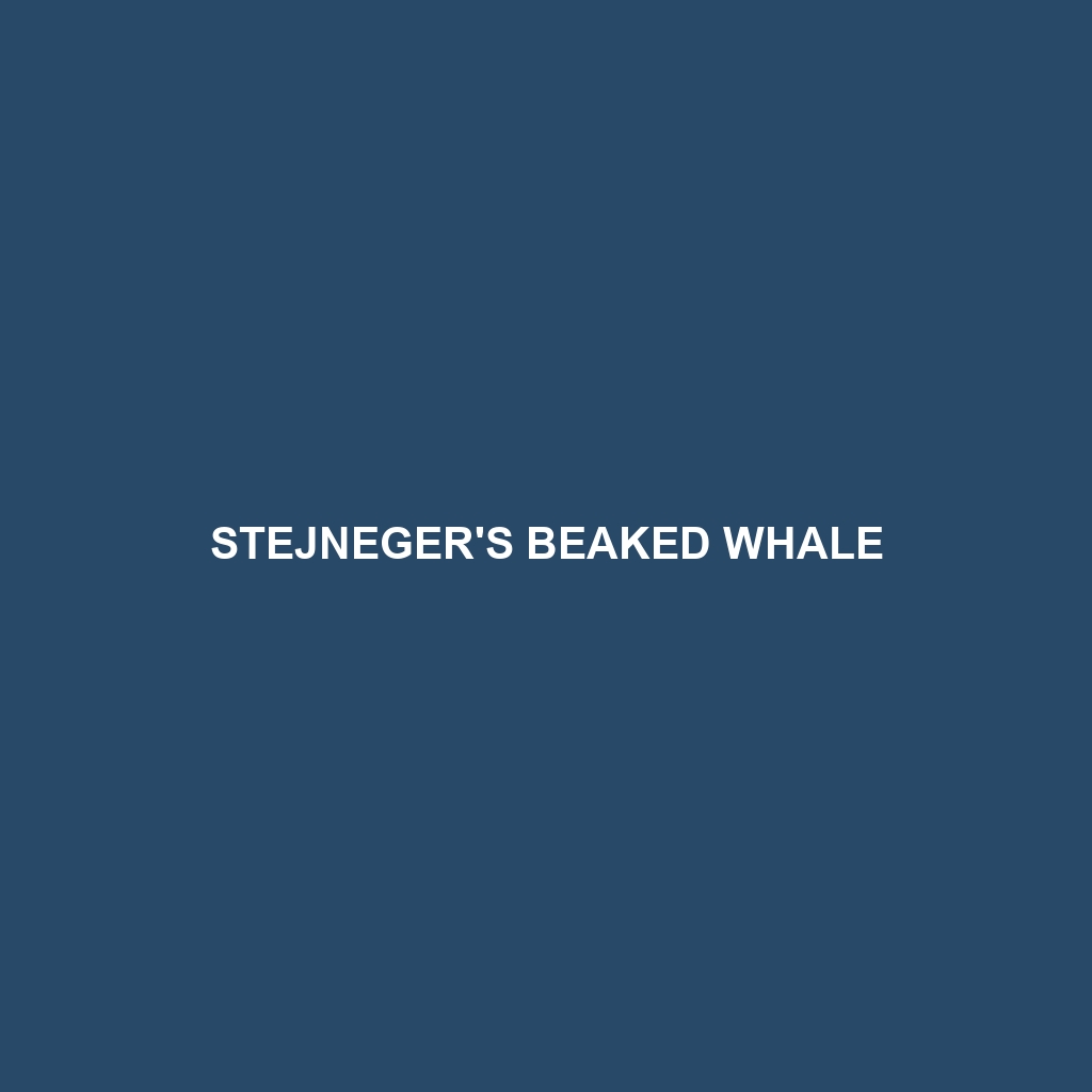 Stejneger's Beaked Whale