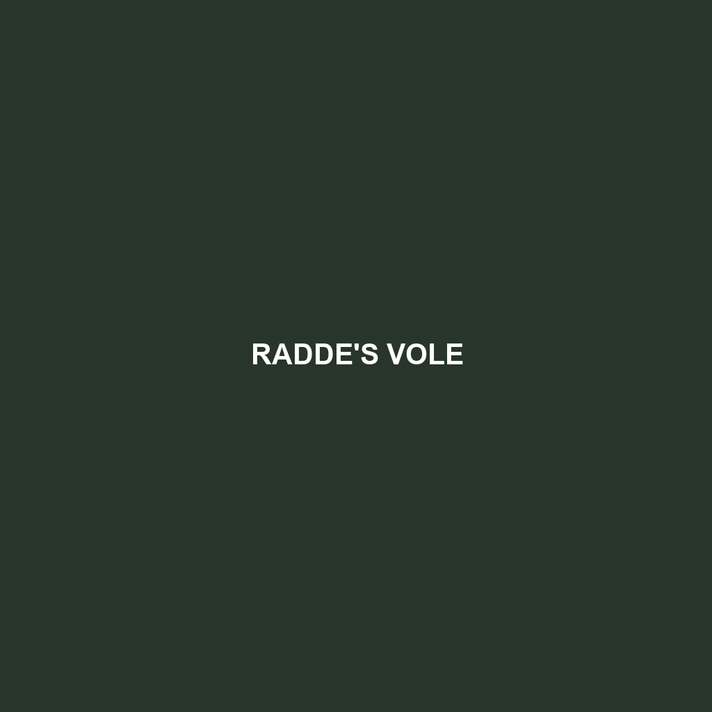 Radde's Vole