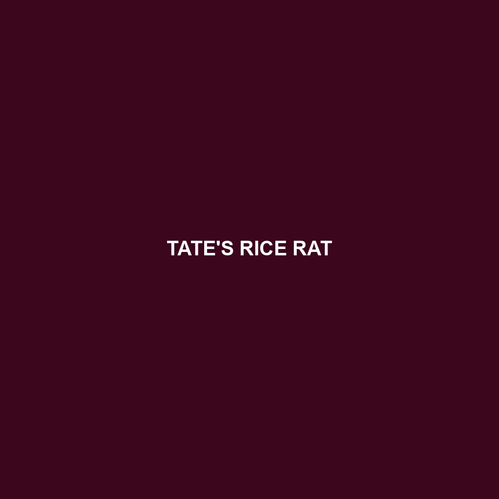 Tate's Rice Rat